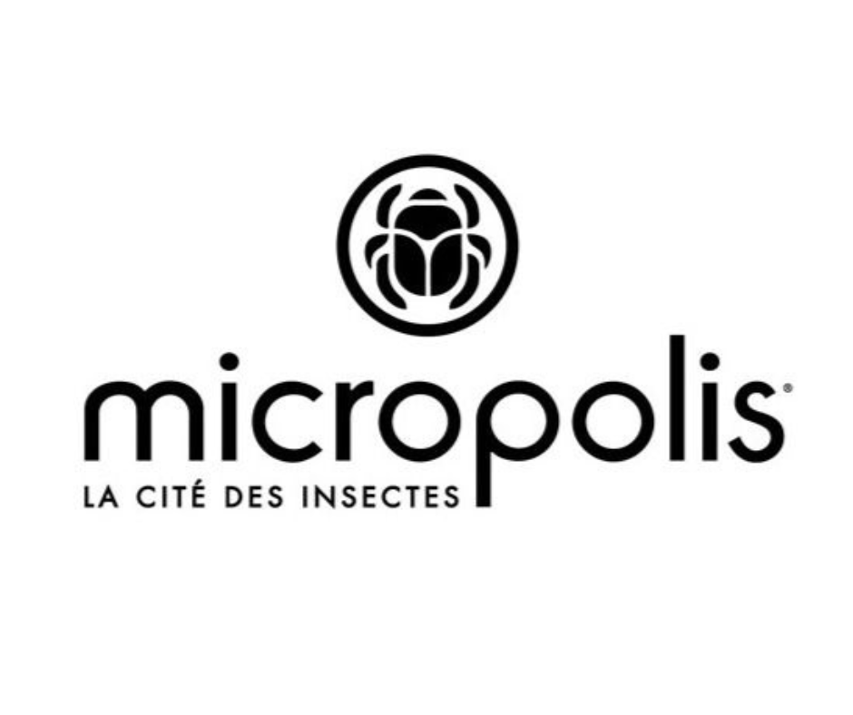 Design sans titre - 2025-08-27T102644.970